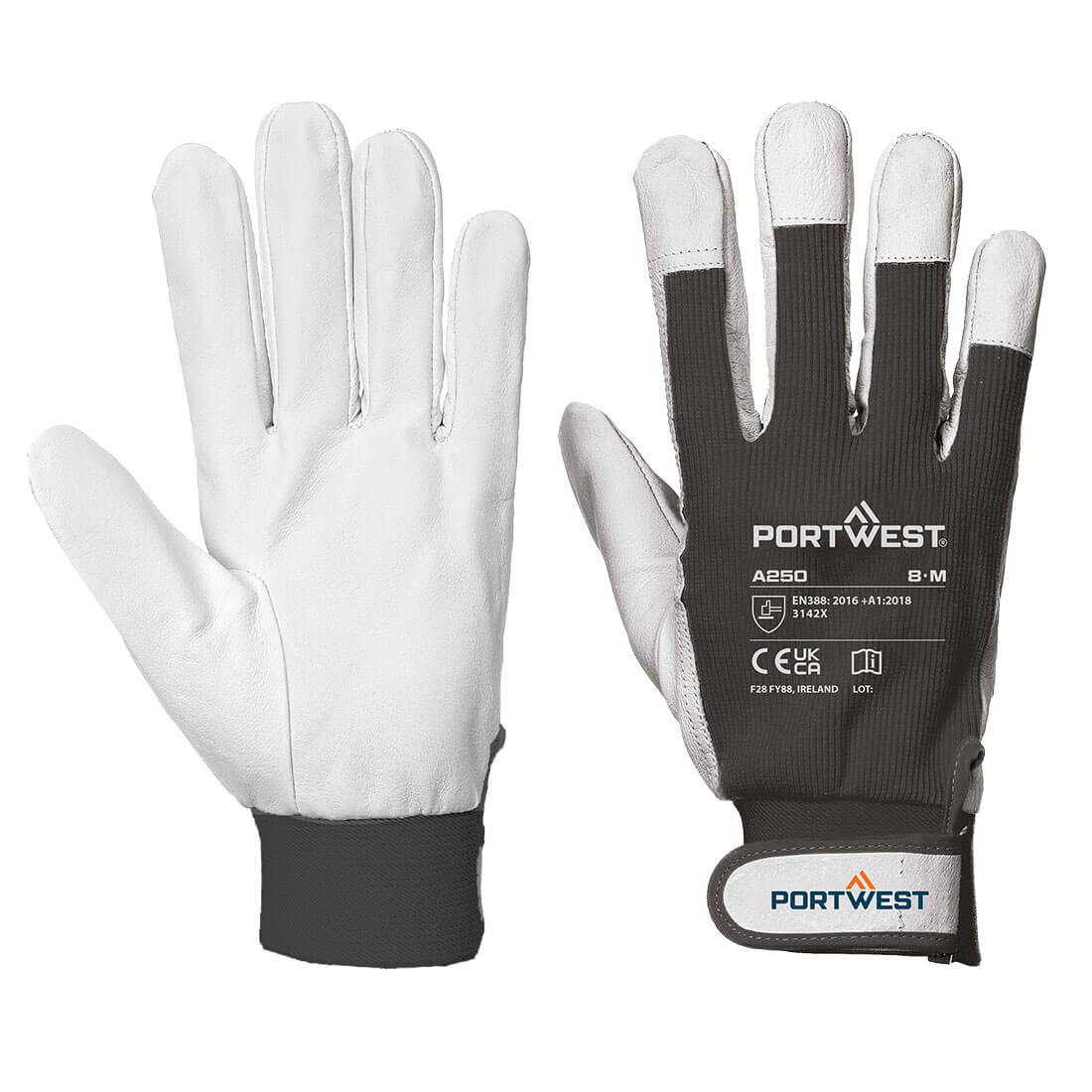 Tergsus Hanske Multipack (Pk12)