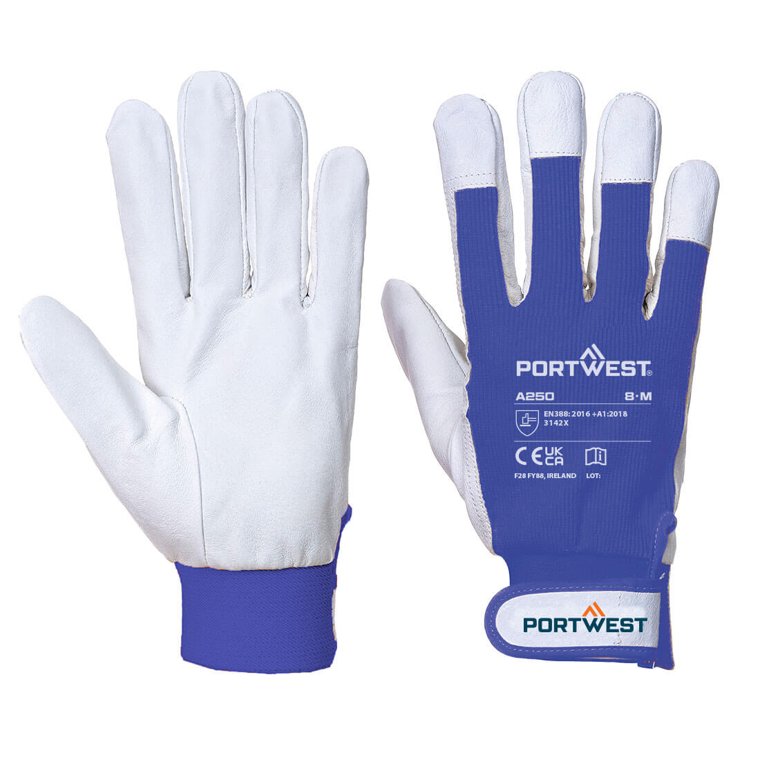 Tergsus Hanske Multipack (Pk12) - Bilde 2
